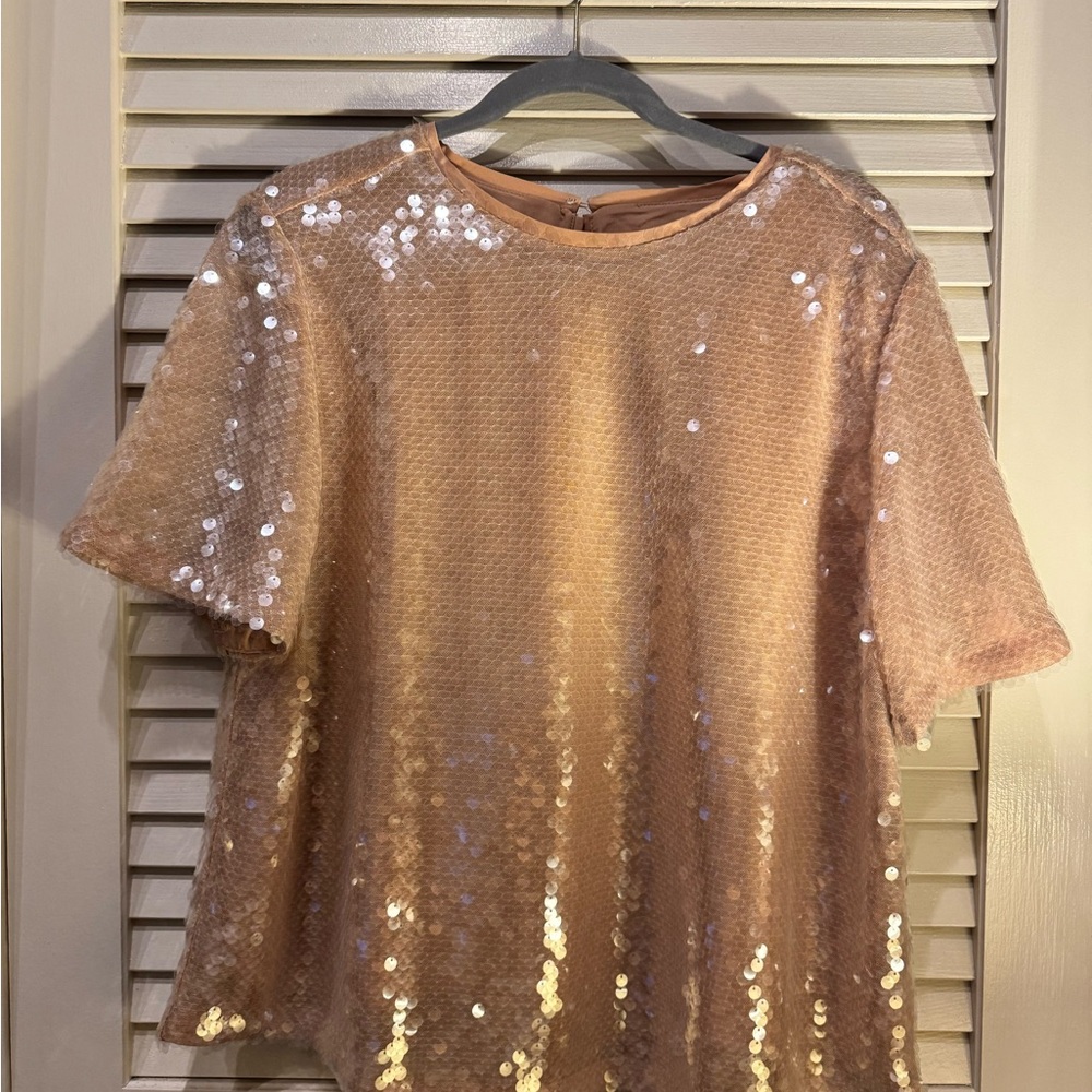 LOFT Shimmering Sequin Blouse in Tan